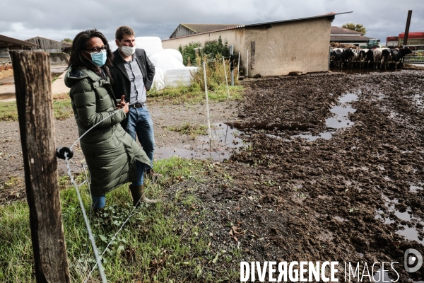 Audrey pulvar visite la ferme de grignon