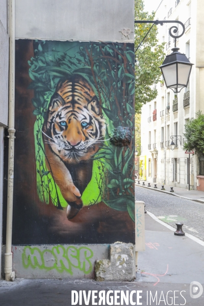 Un musee street art a ciel ouvert paris 13eme