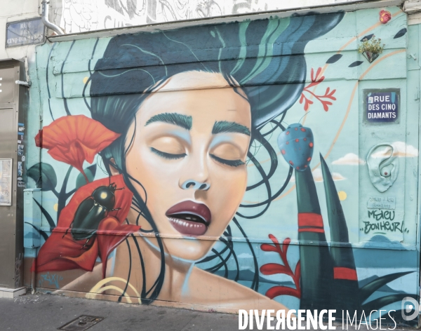 Un musee street art a ciel ouvert paris 13eme