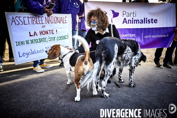 Manifestation du Parti Animaliste et autres associations defense des animaux