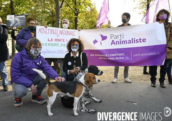 Le Parti Animaliste et plusieurs organisations pour la protection animale manifestent contre le DENI DE DEMOCRATIE exprimé à l Assemblée Nationale. The Animalist Party and several organizations demonstrate against the DENI OF DEMOCRACY.