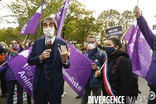 Le Parti Animaliste et plusieurs organisations pour la protection animale manifestent contre le DENI DE DEMOCRATIE exprimé à l Assemblée Nationale. The Animalist Party and several organizations demonstrate against the DENI OF DEMOCRACY.