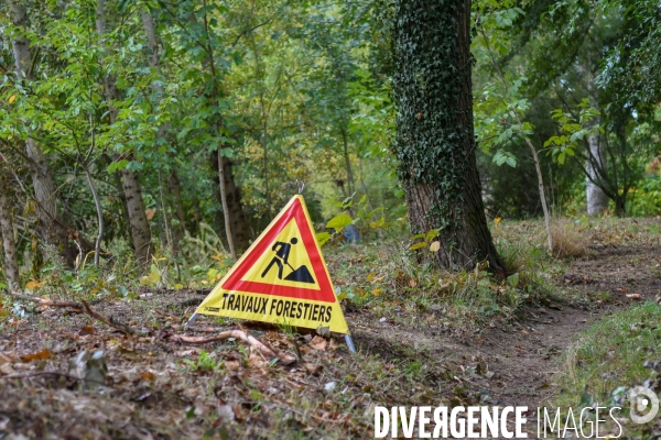 Travaux d entretien des berges d une rivière