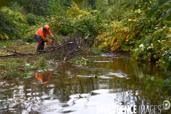 Travaux d entretien des berges d une rivière