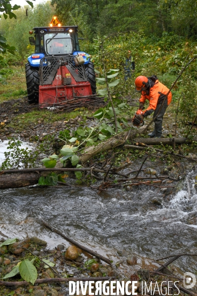 Travaux d entretien des berges d une rivière