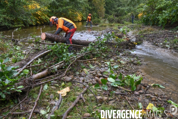 Travaux d entretien des berges d une rivière