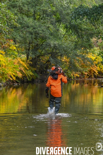 Travaux d entretien des berges d une rivière