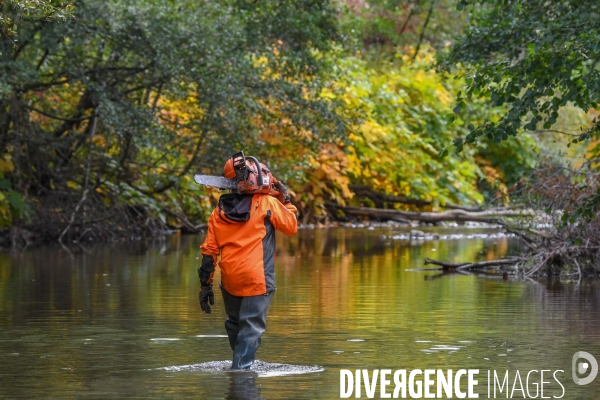 Travaux d entretien des berges d une rivière