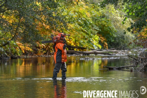 Travaux d entretien des berges d une rivière