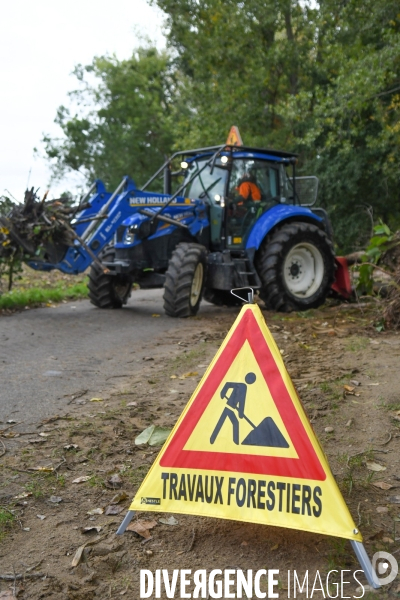 Travaux d entretien des berges d une rivière