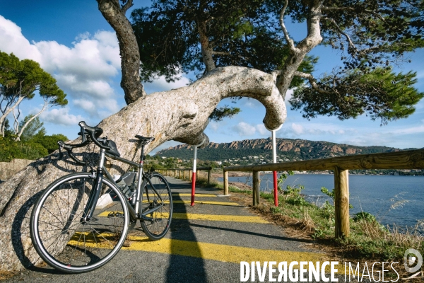 La Corniche de l Esterel à vélo