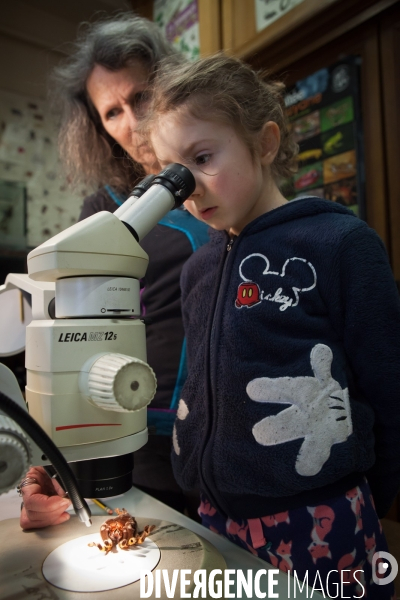 Christine Rollard enseignante chercheuse au Muséum d Histoire naturelle de Paris. Aranéologue. Arachnolologue. Elle fait de la désensibilistation auprès d archnophobes.