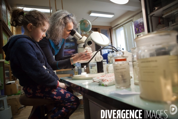 Christine Rollard enseignante chercheuse au Muséum d Histoire naturelle de Paris. Aranéologue. Arachnolologue. Elle fait de la désensibilistation auprès d archnophobes.