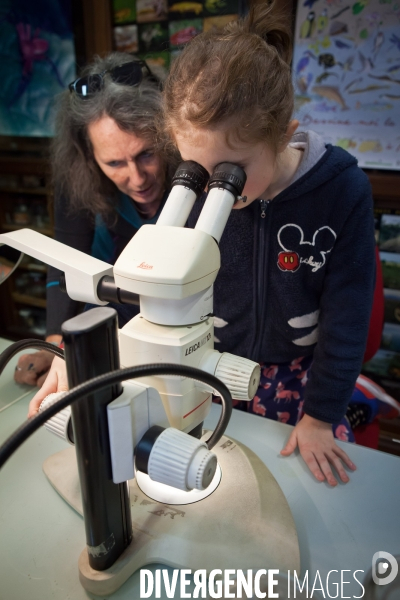 Christine Rollard enseignante chercheuse au Muséum d Histoire naturelle de Paris. Aranéologue. Arachnolologue. Elle fait de la désensibilistation auprès d archnophobes.