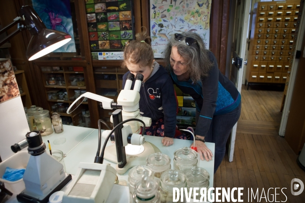 Christine Rollard enseignante chercheuse au Muséum d Histoire naturelle de Paris. Aranéologue. Arachnolologue. Elle fait de la désensibilistation auprès d archnophobes.