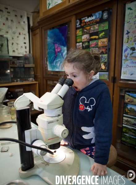 Christine Rollard enseignante chercheuse au Muséum d Histoire naturelle de Paris. Aranéologue. Arachnolologue. Elle fait de la désensibilistation auprès d archnophobes.