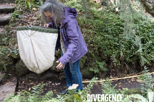 Christine Rollard enseignante chercheuse au Muséum d Histoire naturelle de Paris. Aranéologue. Arachnolologue. Elle fait de la désensibilistation auprès d archnophobes.