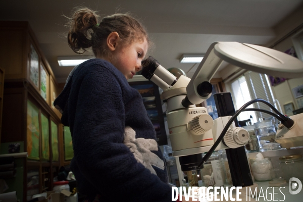 Christine Rollard enseignante chercheuse au Muséum d Histoire naturelle de Paris. Aranéologue. Arachnolologue. Elle fait de la désensibilistation auprès d archnophobes.