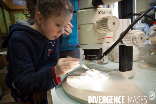 Christine Rollard enseignante chercheuse au Muséum d Histoire naturelle de Paris. Aranéologue. Arachnolologue. Elle fait de la désensibilistation auprès d archnophobes.