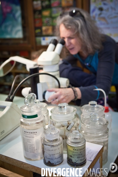 Christine Rollard enseignante chercheuse au Muséum d Histoire naturelle de Paris. Aranéologue. Arachnolologue. Elle fait de la désensibilistation auprès d archnophobes.