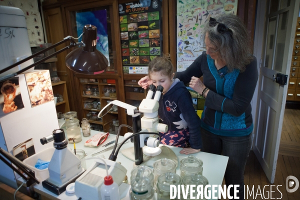 Christine Rollard enseignante chercheuse au Muséum d Histoire naturelle de Paris. Aranéologue. Arachnolologue. Elle fait de la désensibilistation auprès d archnophobes.