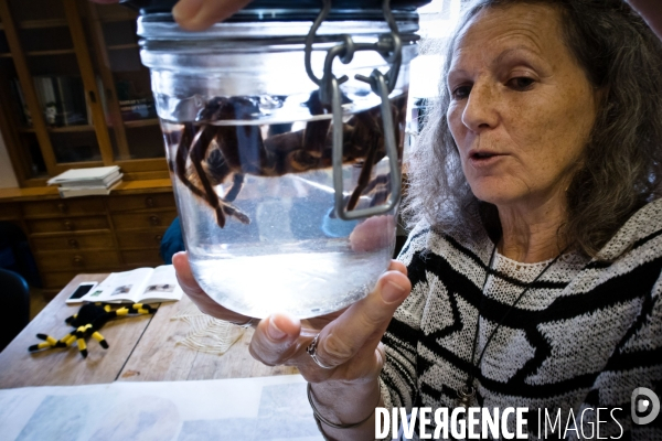 Christine Rollard enseignante chercheuse au Muséum d Histoire naturelle de Paris. Aranéologue. Arachnolologue. Cours auprès des étudiants et désensibilistation auprès d archnophobes.