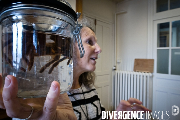 Christine Rollard enseignante chercheuse au Muséum d Histoire naturelle de Paris. Aranéologue. Arachnolologue. Cours auprès des étudiants et désensibilistation auprès d archnophobes.