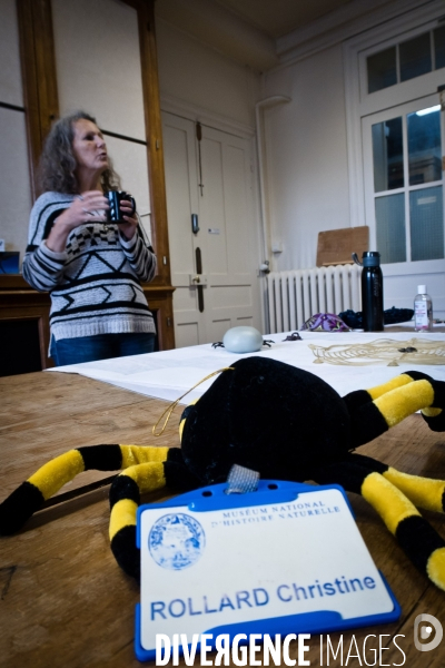 Christine Rollard enseignante chercheuse au Muséum d Histoire naturelle de Paris. Aranéologue. Arachnolologue. Cours auprès des étudiants et désensibilistation auprès d archnophobes.