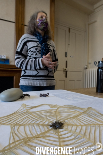 Christine Rollard enseignante chercheuse au Muséum d Histoire naturelle de Paris. Aranéologue. Arachnolologue. Cours auprès des étudiants et désensibilistation auprès d archnophobes.