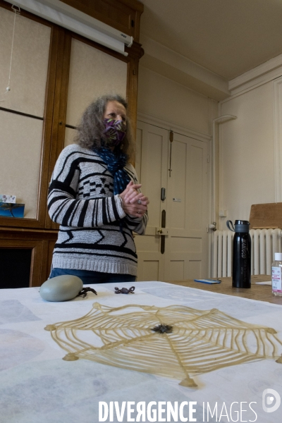 Christine Rollard enseignante chercheuse au Muséum d Histoire naturelle de Paris. Aranéologue. Arachnolologue. Cours auprès des étudiants et désensibilistation auprès d archnophobes.