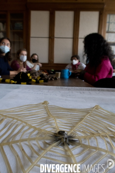 Christine Rollard enseignante chercheuse au Muséum d Histoire naturelle de Paris. Aranéologue. Arachnolologue. Cours auprès des étudiants et désensibilistation auprès d archnophobes.