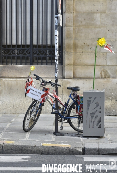 Parking à vélos et trottinettes électriques et parking sauvage. Parkind for bicycles and electic scooter, and free parking.