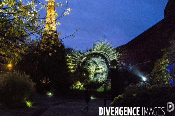 Quai Branly -  Dans la Mémoire du Monde 