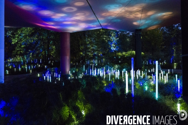 Quai Branly -  Dans la Mémoire du Monde 