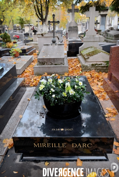 Tombe de Mireille Darc