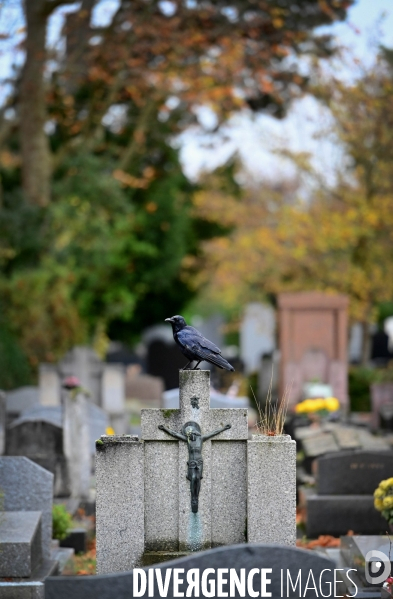 Cimetiere parisien de bagneux