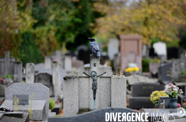 Cimetiere parisien de bagneux