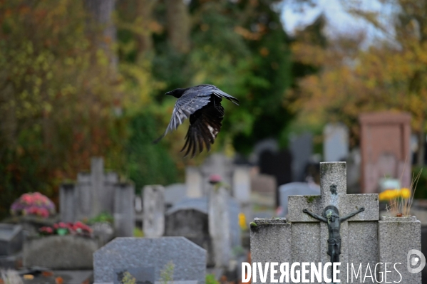 Cimetiere parisien de bagneux