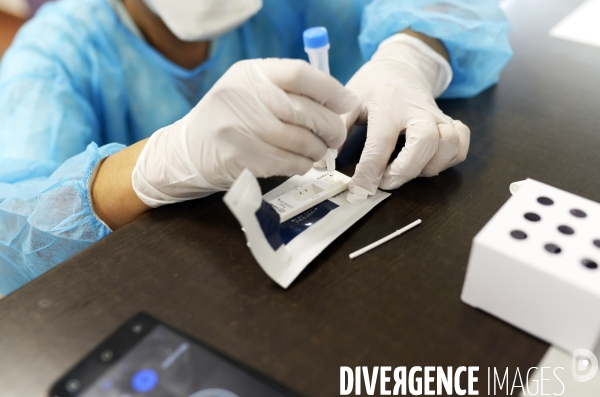 Tests antigéniques - COVID