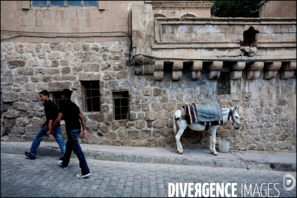 Mardin la blanche