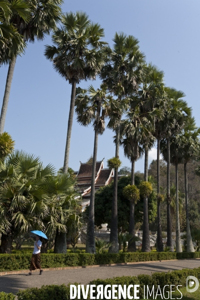 Luang prabang/laos