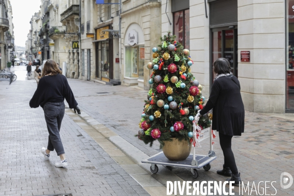 Sapin dans une rue à Bordeaux