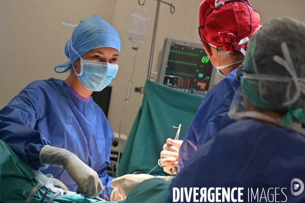 Chirurgie de l endométriose -  Au centre d Endométriose de la clinique TIVOLI DUCOS  de Bordeaux , dirigé par le professeur Horace ROMAN