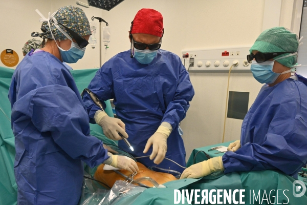 Chirurgie de l endométriose -  Au centre d Endométriose de la clinique TIVOLI DUCOS  de Bordeaux , dirigé par le professeur Horace ROMAN