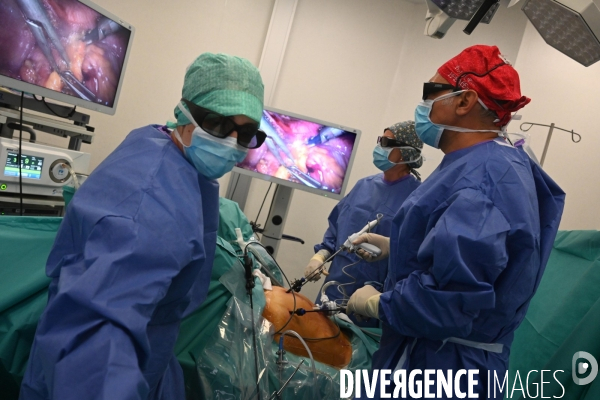 Chirurgie de l endométriose -  Au centre d Endométriose de la clinique TIVOLI DUCOS  de Bordeaux , dirigé par le professeur Horace ROMAN