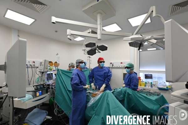 Chirurgie de l endométriose -  Au centre d Endométriose de la clinique TIVOLI DUCOS  de Bordeaux , dirigé par le professeur Horace ROMAN