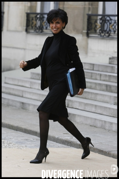1er conseil des ministres de l annee 2009