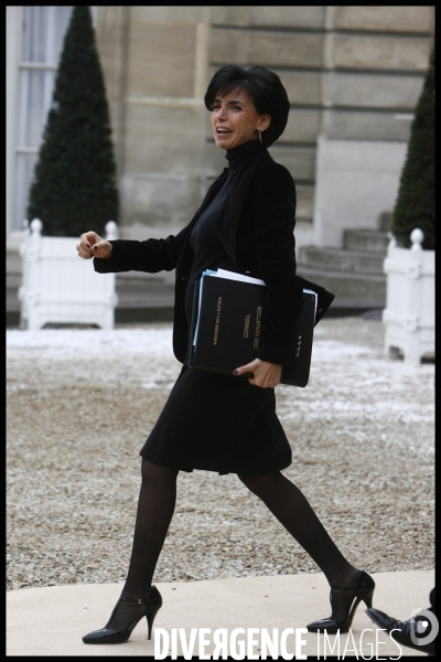 1er conseil des ministres de l annee 2009