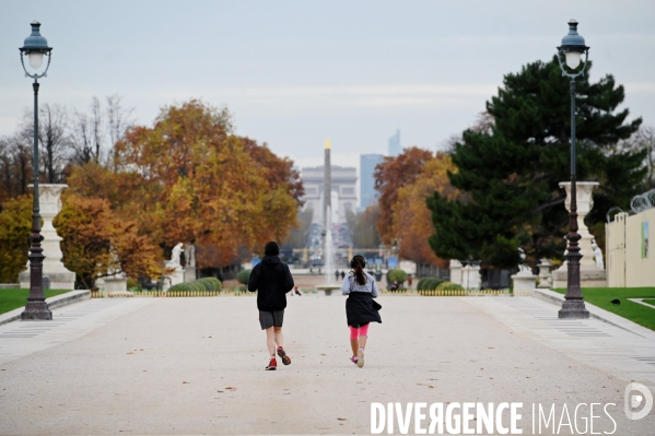 Reconfinement /  le Jardin des Tuileries