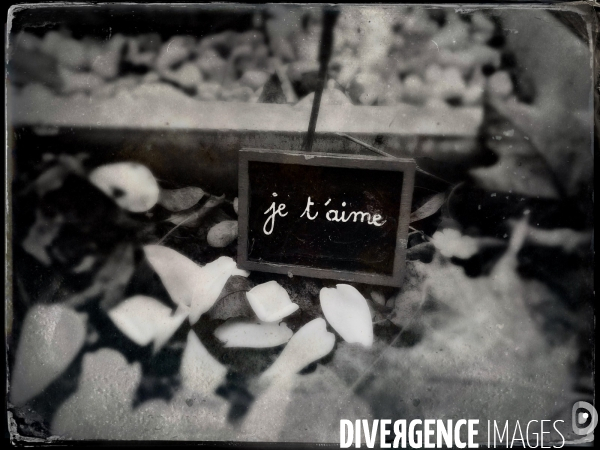 Cimetiere parisien de bagneux / Je t aime